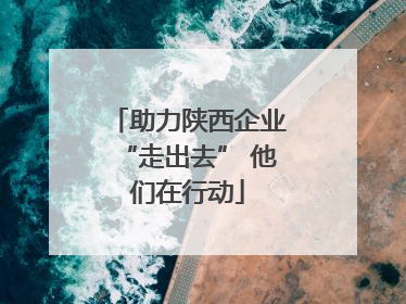 助力陕西企业“走出去” 他们在行动