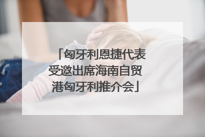 匈牙利恩捷代表受邀出席海南自贸港匈牙利推介会