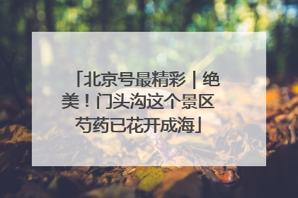 北京号最精彩｜绝美！门头沟这个景区芍药已花开成海
