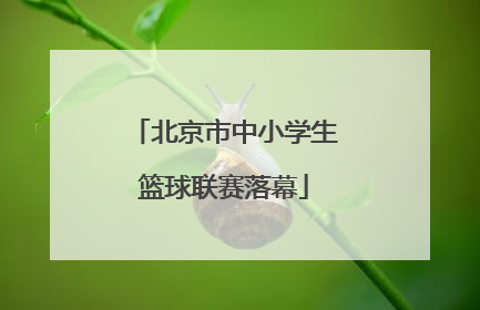 北京市中小学生篮球联赛落幕
