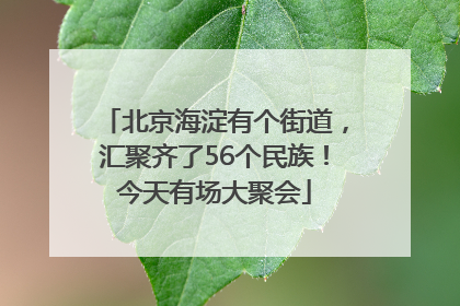 北京海淀有个街道，汇聚齐了56个民族！今天有场大聚会