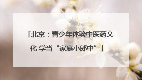 北京：青少年体验中医药文化 学当“家庭小郎中”