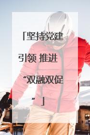 坚持党建引领 推进“双融双促”