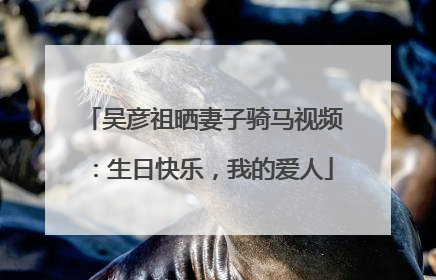 吴彦祖晒妻子骑马视频：生日快乐，我的爱人