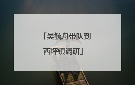 吴毓舟带队到西坪镇调研