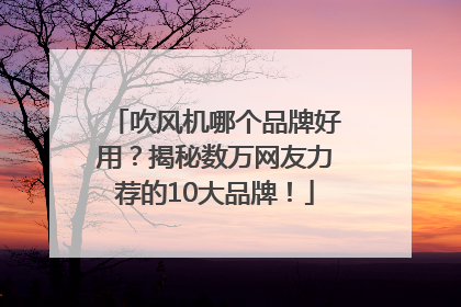 吹风机哪个品牌好用？揭秘数万网友力荐的10大品牌！