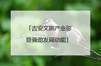 吉安文旅产业彰显强劲发展动能