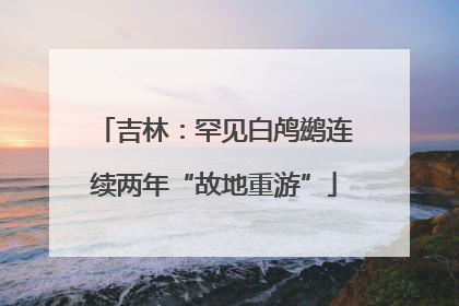 吉林：罕见白鸬鹚连续两年“故地重游”