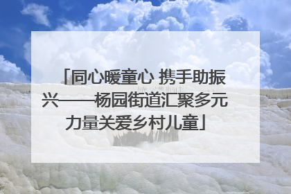 同心暖童心 携手助振兴——杨园街道汇聚多元力量关爱乡村儿童