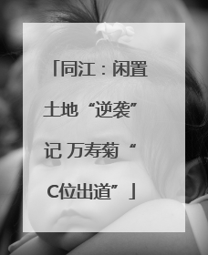 同江：闲置土地“逆袭”记 万寿菊“C位出道”