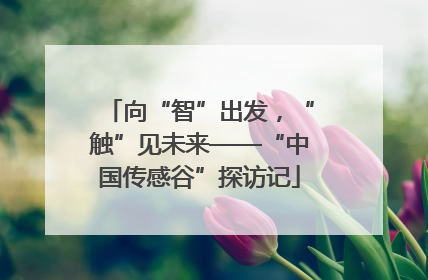 向“智”出发，“触”见未来——“中国传感谷”探访记