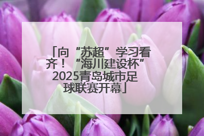 向“苏超”学习看齐！“海川建设杯”2025青岛城市足球联赛开幕