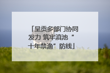 呈贡多部门协同发力 筑牢滇池“十年禁渔”防线