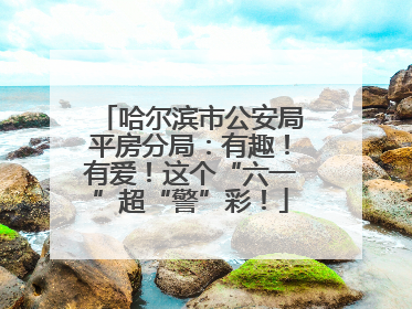 哈尔滨市公安局平房分局：有趣！有爱！这个“六一”超“警”彩！
