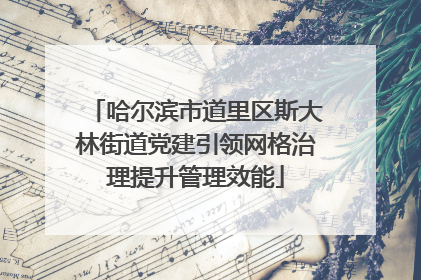 哈尔滨市道里区斯大林街道党建引领网格治理提升管理效能