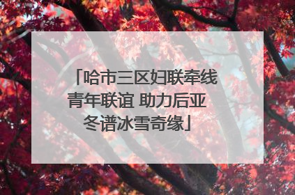 哈市三区妇联牵线青年联谊 助力后亚冬谱冰雪奇缘