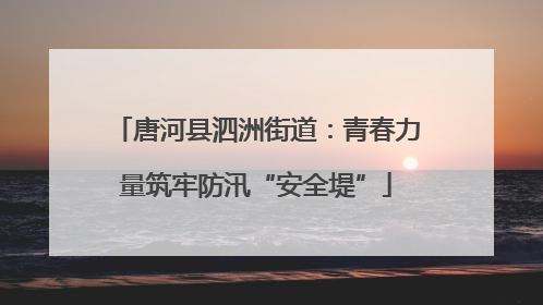 唐河县泗洲街道：青春力量筑牢防汛“安全堤”