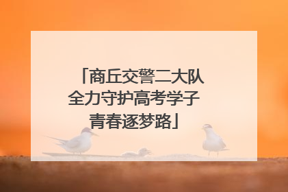 商丘交警二大队全力守护高考学子青春逐梦路