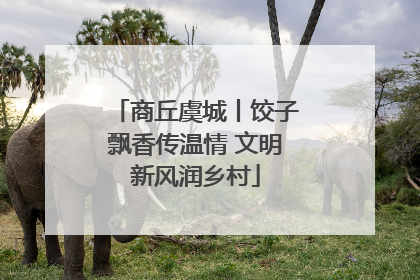商丘虞城丨饺子飘香传温情 文明新风润乡村