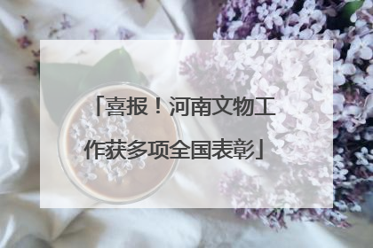 喜报！河南文物工作获多项全国表彰