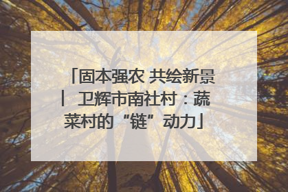 固本强农 共绘新景 ︳卫辉市南社村：蔬菜村的“链”动力