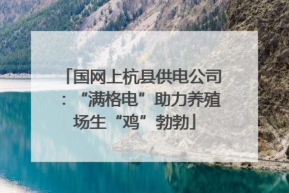 国网上杭县供电公司：“满格电”助力养殖场生“鸡”勃勃