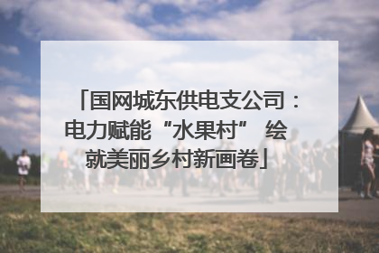 国网城东供电支公司：电力赋能“水果村” 绘就美丽乡村新画卷