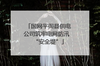 国网平舆县供电公司筑牢电网防汛“安全堤”