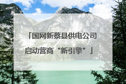 国网新蔡县供电公司启动营商“新引擎”