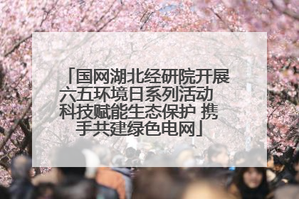 国网湖北经研院开展六五环境日系列活动 科技赋能生态保护 携手共建绿色电网