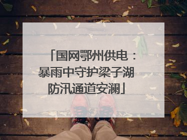 国网鄂州供电：暴雨中守护梁子湖防汛通道安澜