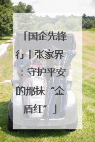 国企先锋行丨张家界：守护平安的那抹“金盾红”