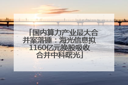 国内算力产业最大合并案落锤：海光信息拟1160亿元换股吸收合并中科曙光