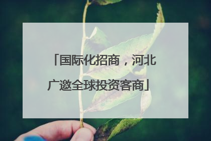 国际化招商，河北广邀全球投资客商