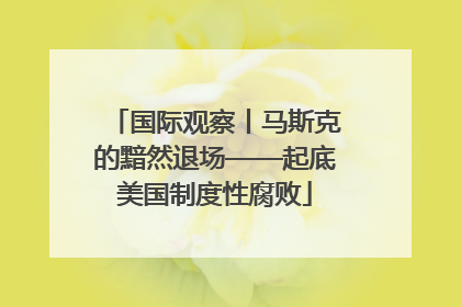 国际观察丨马斯克的黯然退场——起底美国制度性腐败