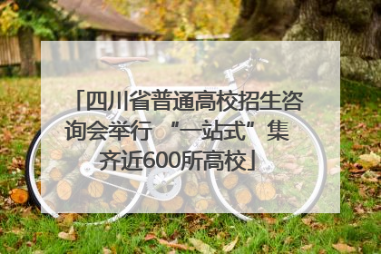 四川省普通高校招生咨询会举行 “一站式”集齐近600所高校