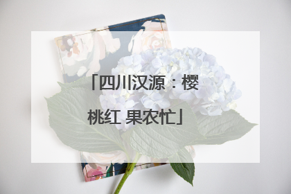 四川汉源：樱桃红 果农忙