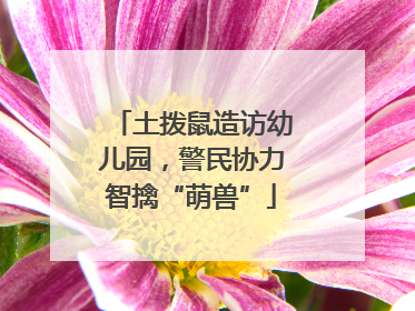 土拨鼠造访幼儿园，警民协力智擒“萌兽”