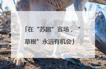 在“苏超”赛场，“草根”永远有机会