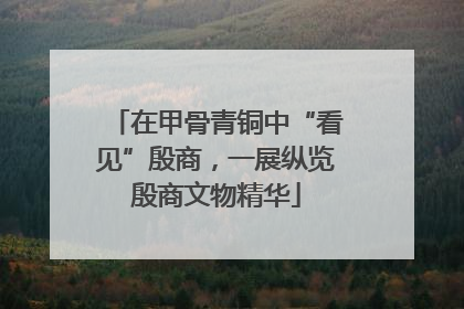 在甲骨青铜中“看见”殷商，一展纵览殷商文物精华