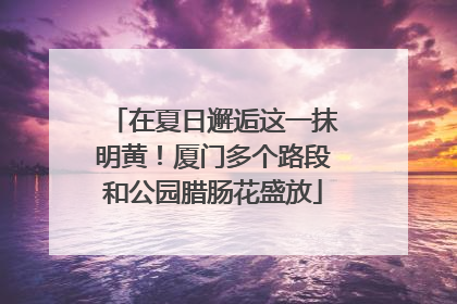 在夏日邂逅这一抹明黄！厦门多个路段和公园腊肠花盛放