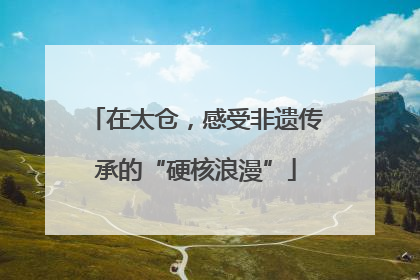 在太仓，感受非遗传承的“硬核浪漫”
