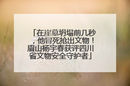 在崖墓坍塌前几秒，他冒死抢出文物！眉山杨宇春获评四川省文物安全守护者
