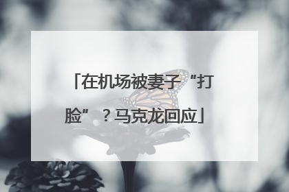 在机场被妻子“打脸”？马克龙回应