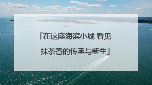 在这座海滨小城 看见一抹茶香的传承与新生