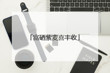 富硒紫麦喜丰收