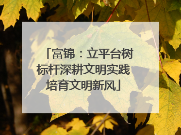 富锦：立平台树标杆深耕文明实践培育文明新风
