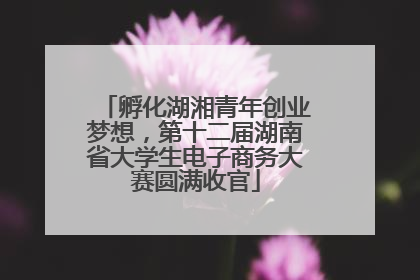 孵化湖湘青年创业梦想，第十二届湖南省大学生电子商务大赛圆满收官