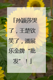 孙颖莎哭了，王楚钦笑了，潘展乐金牌“批发”！