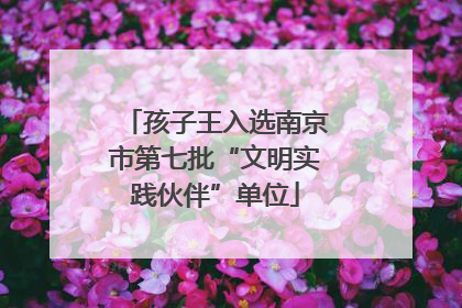 孩子王入选南京市第七批“文明实践伙伴”单位